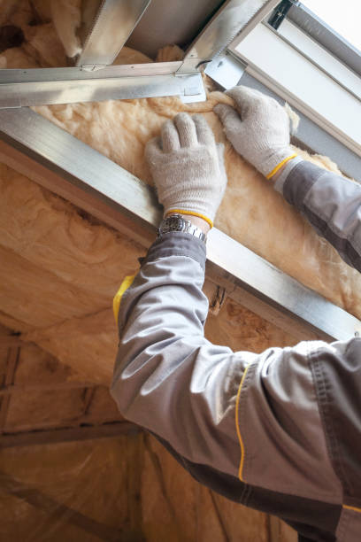 Best Insulation Maintenance and Repair in Pea Ridge, FL