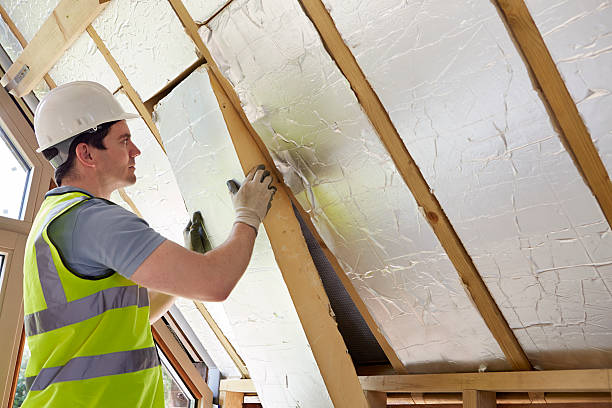 Best Commercial Insulation in Pea Ridge, FL